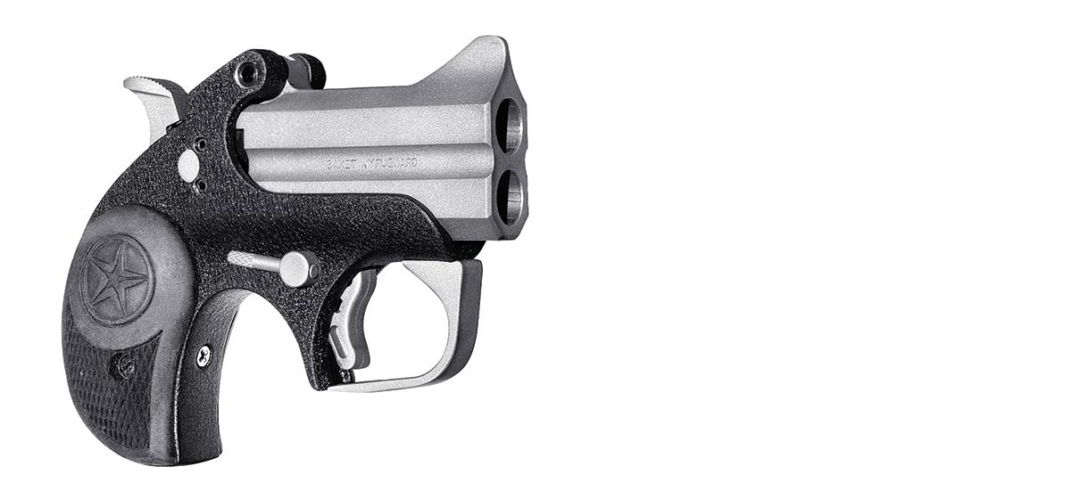 5 Best Derringer for Self Defense Sportsman's Warehouse