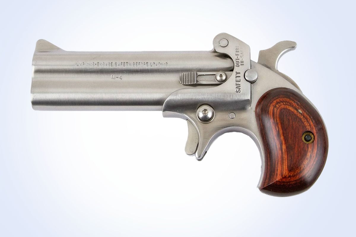 5 Best Derringer for Self Defense Sportsman's Warehouse