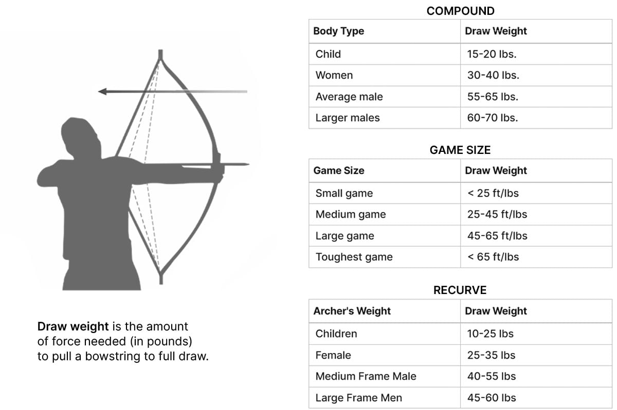Compound and Recurve Bow Draw Weight Charts Sportsman's Warehouse