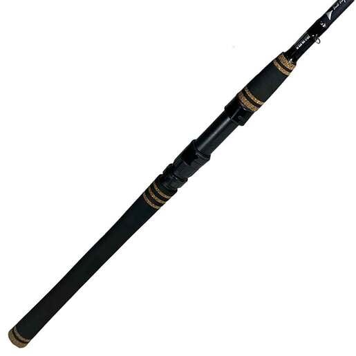 Star Rods Aerial Inshore Saltwater Casting Rod by Sportsman's Warehouse