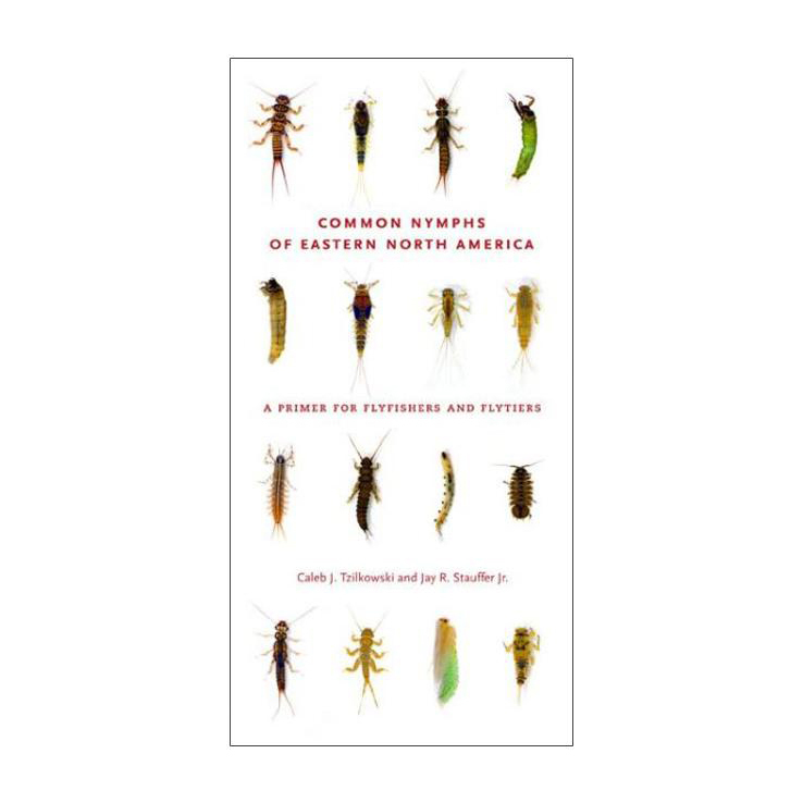 Angler S Book Supply Common Nymphs Of Eastern North America Sportsman S Warehouse