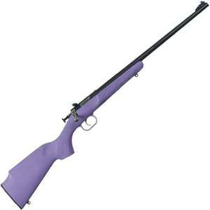Crickett Synthetic Stock Compact Purple Blued Bolt Action Rifle -