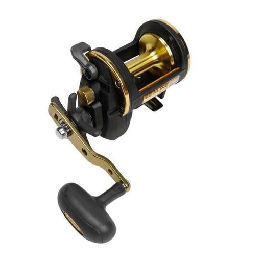  Daiwa Seagate Conventional Reel : General Sporting Equipment :  Sports & Outdoors