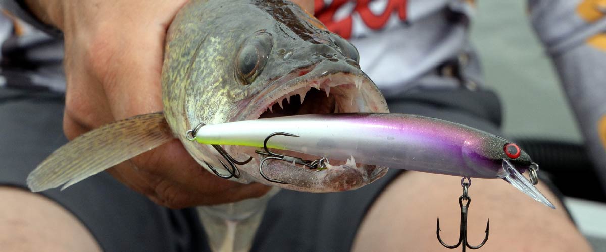 5 Tips For Successfully Fishing With Live Bait
