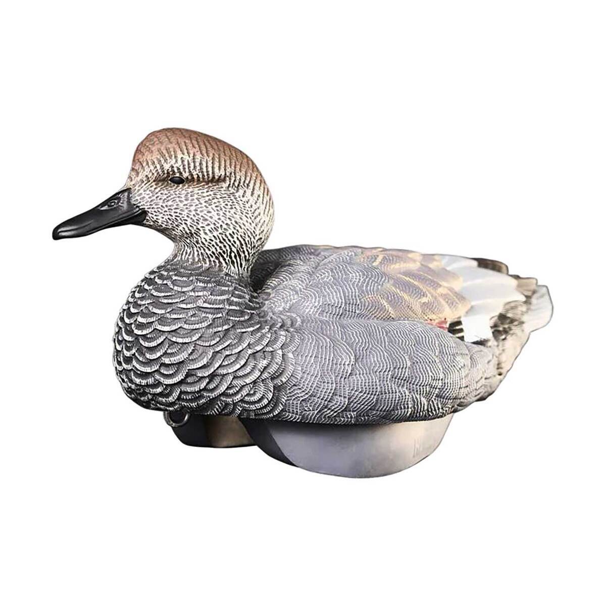 Heyday HydroFoam Gadwall Decoys 6 Pack Sportsman's Warehouse