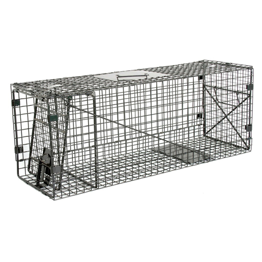 Duke Dog-proof Raccoon Trap - 186667, Traps & Trapping Supplies at  Sportsman's Guide