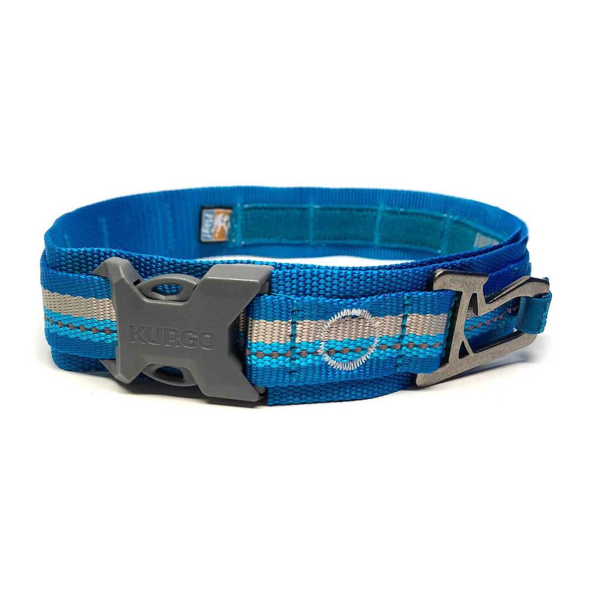 Top Paw Signature Dog Collar in Blue, Size: XL | PetSmart