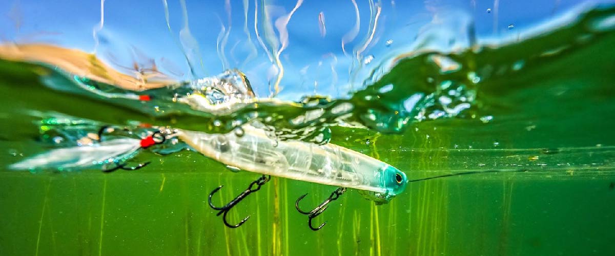 Fishing Bait and Lures
