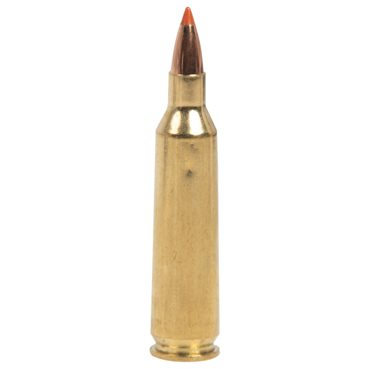 nosler-trophy-grade-varmint-22-250-remington-35gr-btlf-rifle-ammo-20