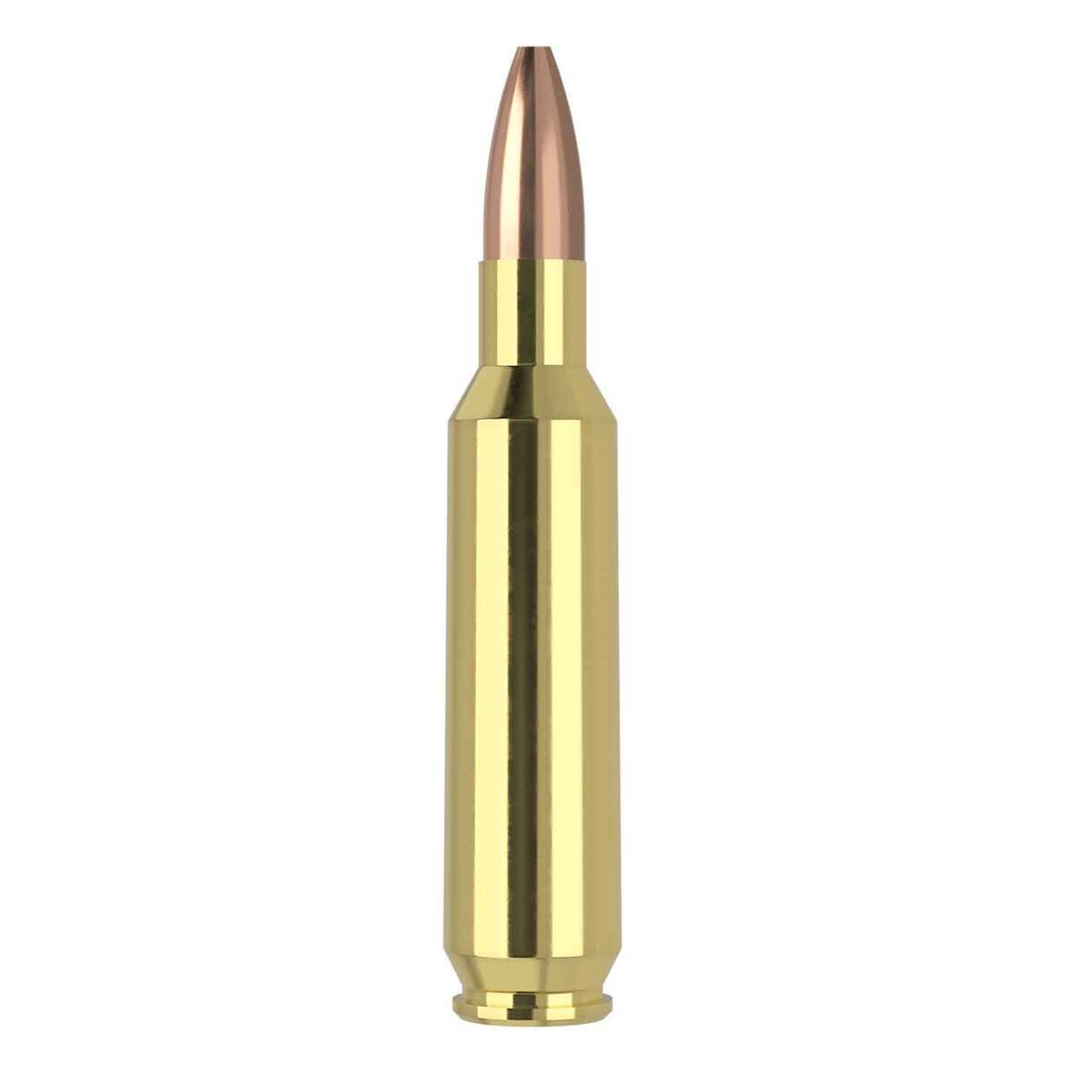 Nosler Varmageddon 22 Nosler 62gr Fbhp Rifle Ammo 50 Rounds