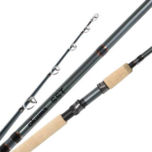 Wild Series Salmon Steelhead Rotary Reel And Tangling With Catfish Rods  Combo With Aluminum Spool Handle Boat Fishing Accessories 231129 From  Xuan09, $69.21