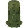 Osprey Aether 65 Extended Fit 65 Liter Backpacking Pack - S/M EF - Garlic Mustard Green S/M Extended Fit