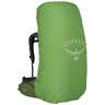 Osprey Aether 65 Extended Fit 65 Liter Backpacking Pack - S/M EF - Garlic Mustard Green S/M Extended Fit