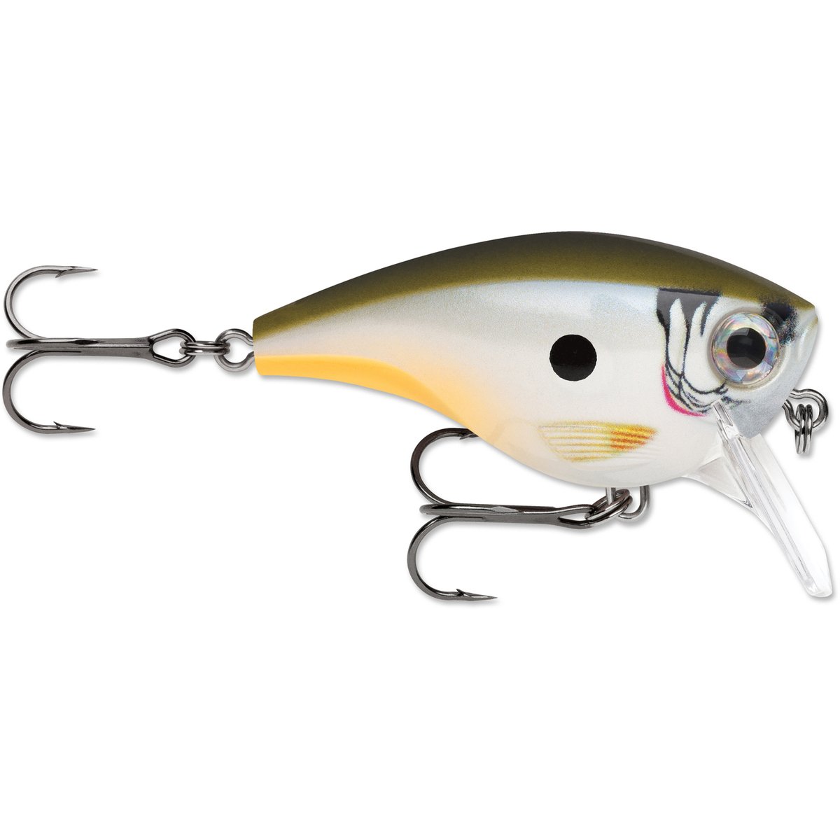  Rapala Unisex's BX Lure, Brown Trout, 10 : Sports