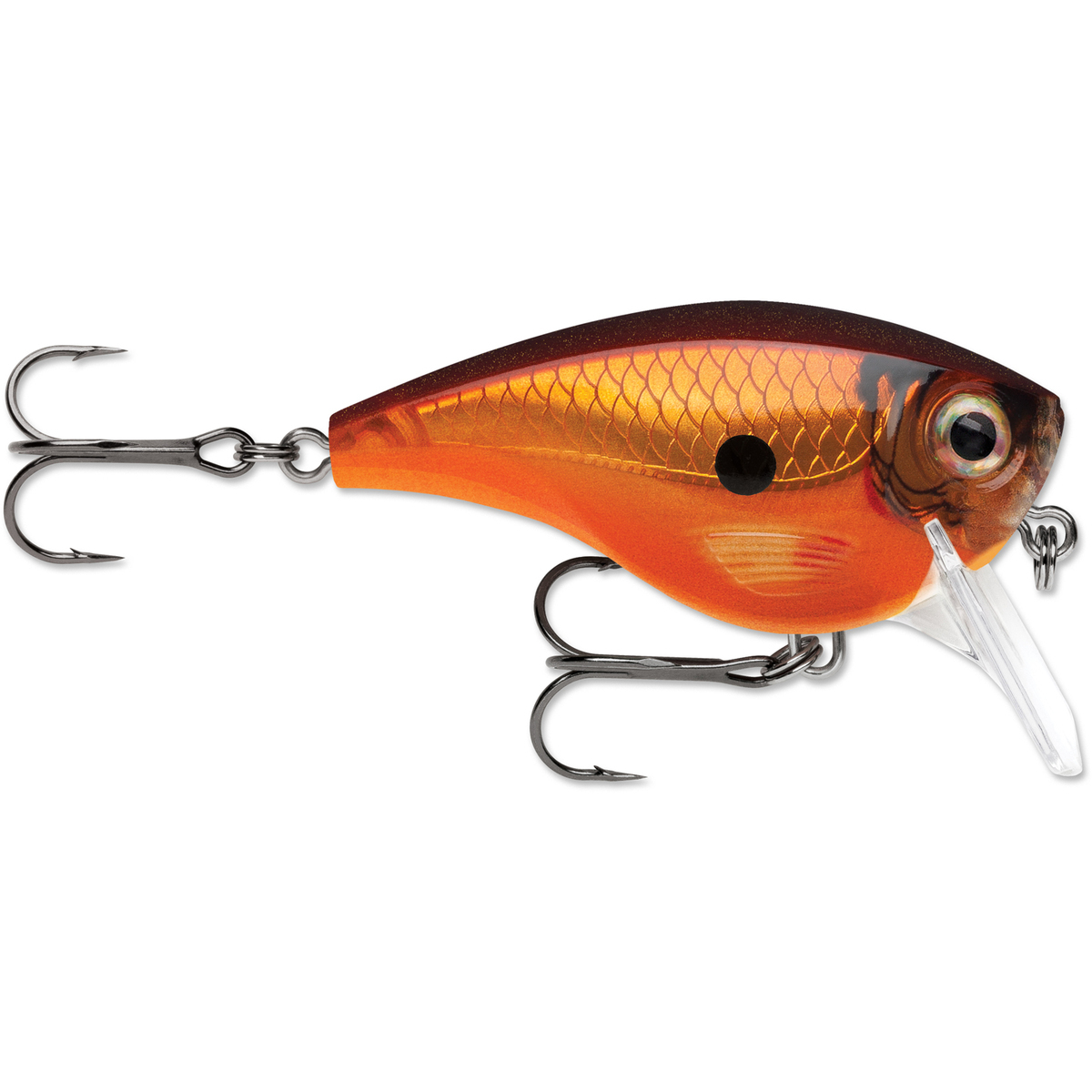  Rapala Unisex's BX Lure, Brown Trout, 10 : Sports