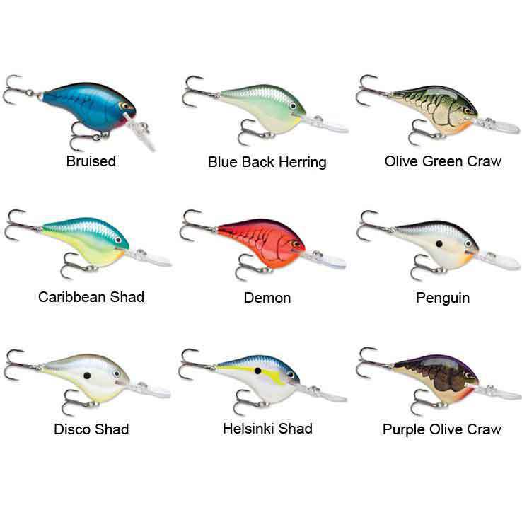 Rapala DT Series Crankbait | Sportsman's Warehouse