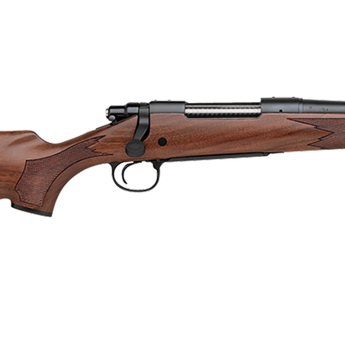 Remington 700 Cdl Bluedwalnut Bolt Action Rifle 243 Winchester