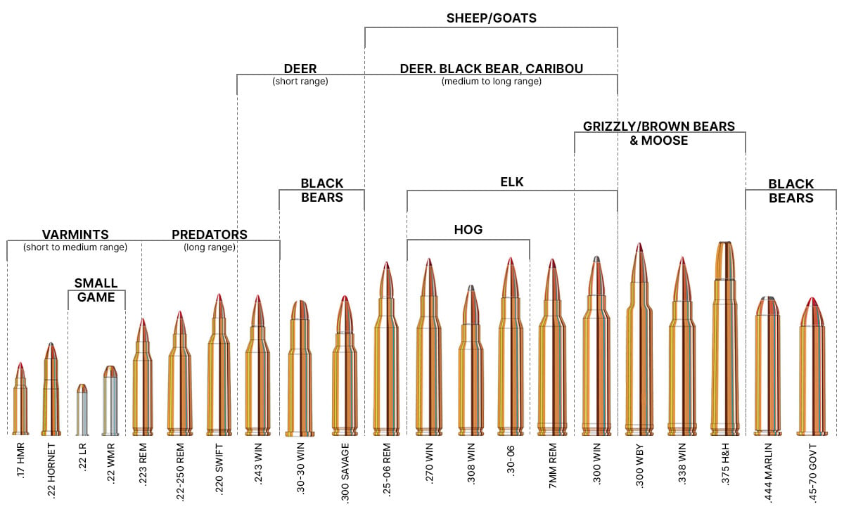 Rifle Caliber Ballistics Performance Chart | Sportsman's Warehouse