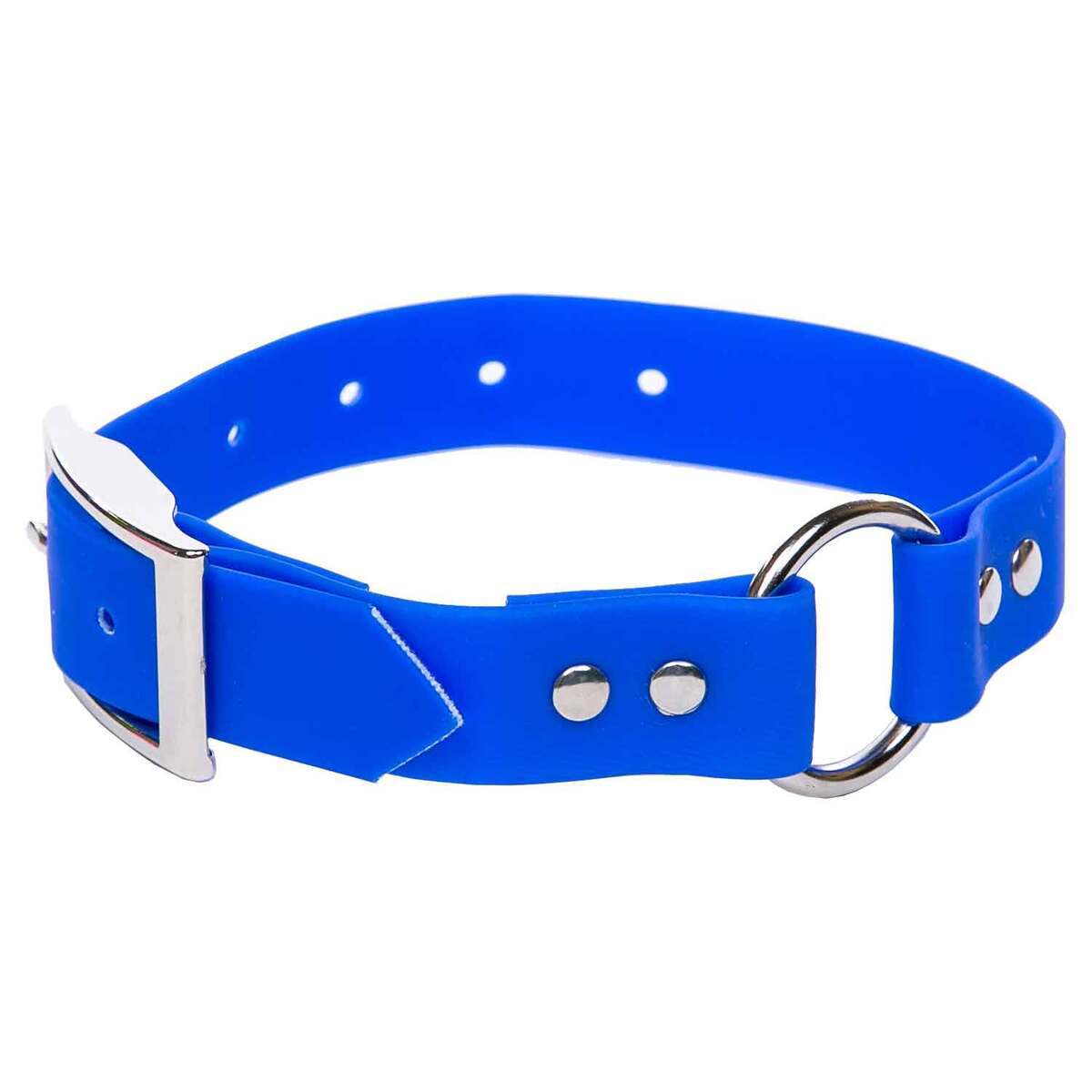 Nite Ize NiteHowl Disc-o Select Dog Collar, Medium in the Pet Collars &  Harnesses department at