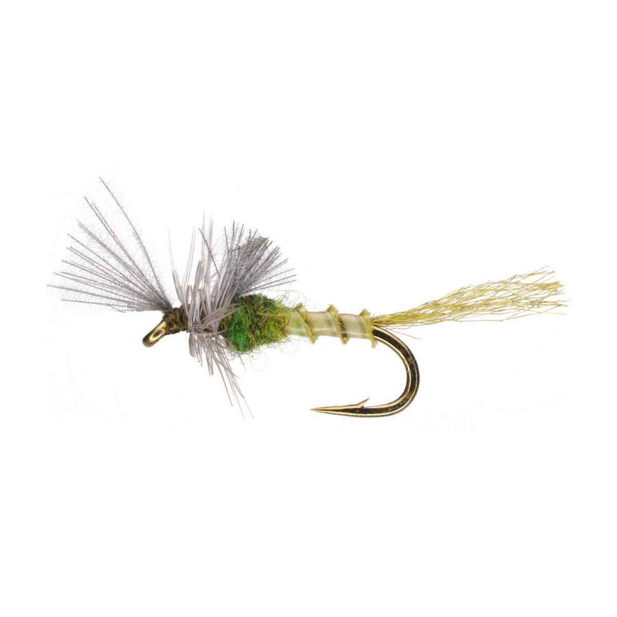 RoundRocks Cripple Fly - Blue Wing Olive, 6 Pack | Sportsman's Warehouse