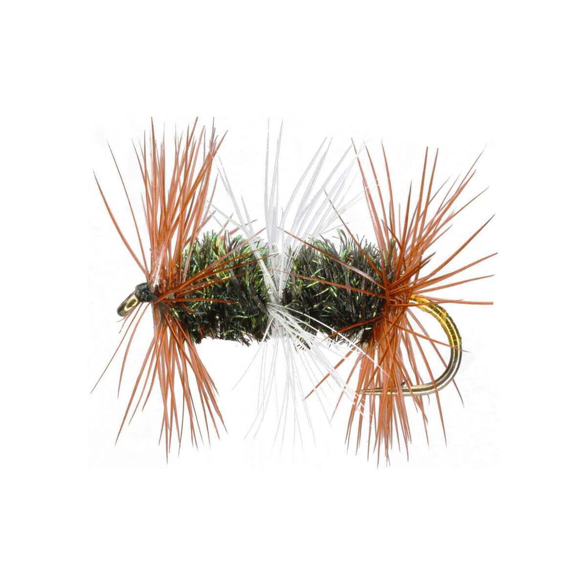 Caddis  Sportsman's Warehouse