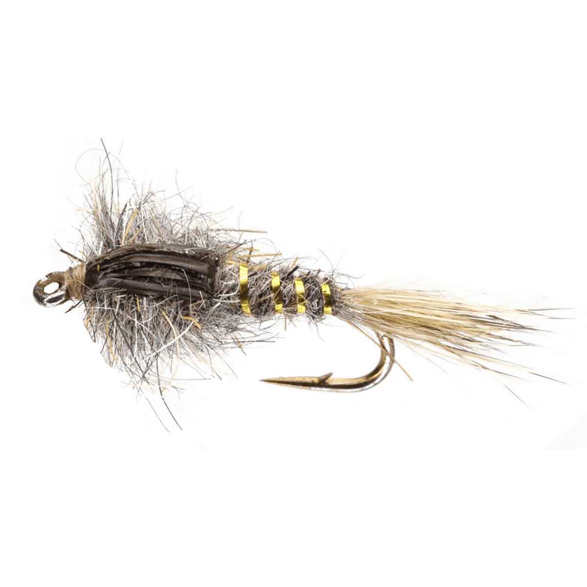 Caddis  Sportsman's Warehouse