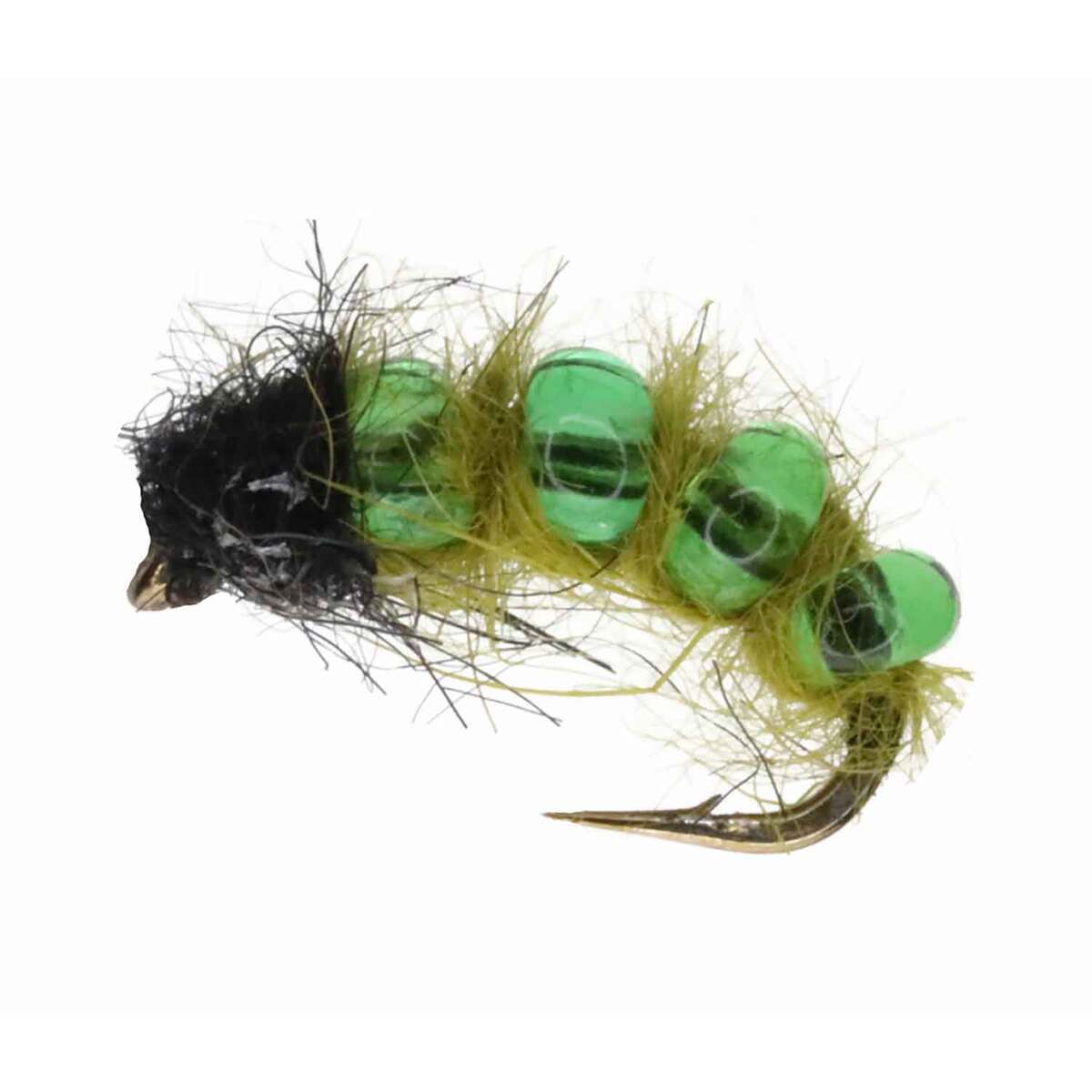 Caddis  Sportsman's Warehouse