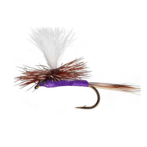 RoundRocks Foxie Nymph Fly - 6 Pack - Purple 14 by Sportsman's Warehouse