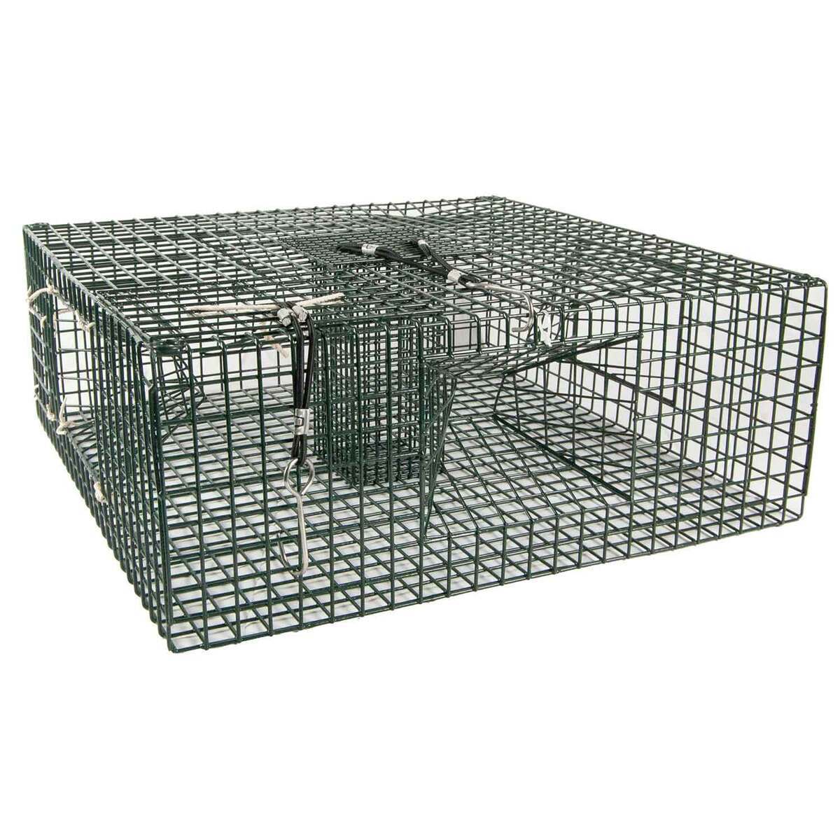 Pursuit Live Animal Traps 2-Pack