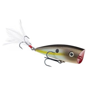  Topwater Fishing Lures (A-10PCS-4.8inch) : Sports & Outdoors