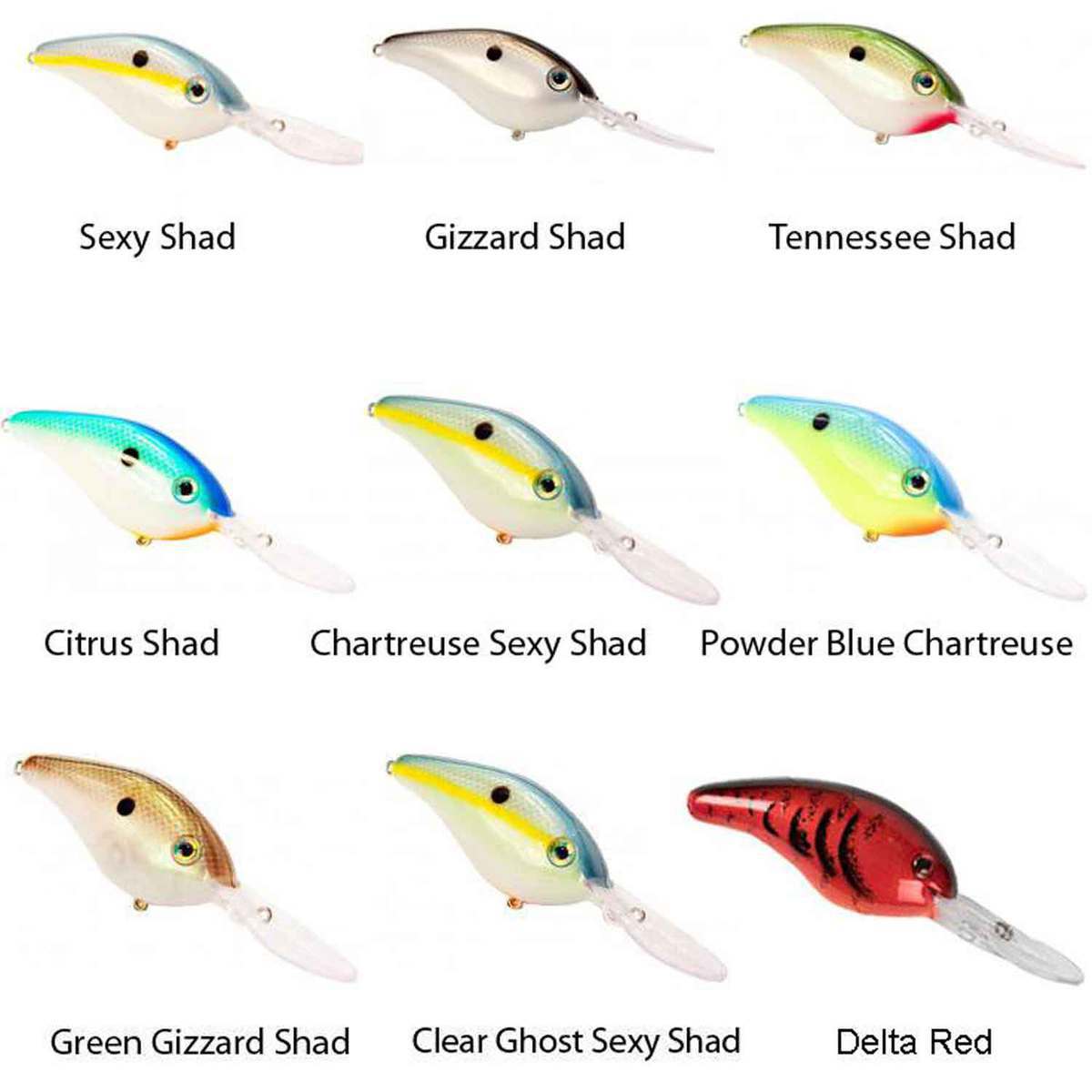 Strike King Pro Model 5XD Silent Deep Diving Crankbait Gizzard Shad