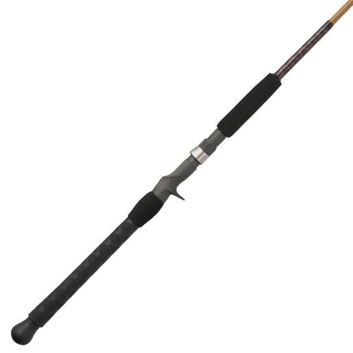 Shimano Terez BW High Speed Saltwater Casting Rod