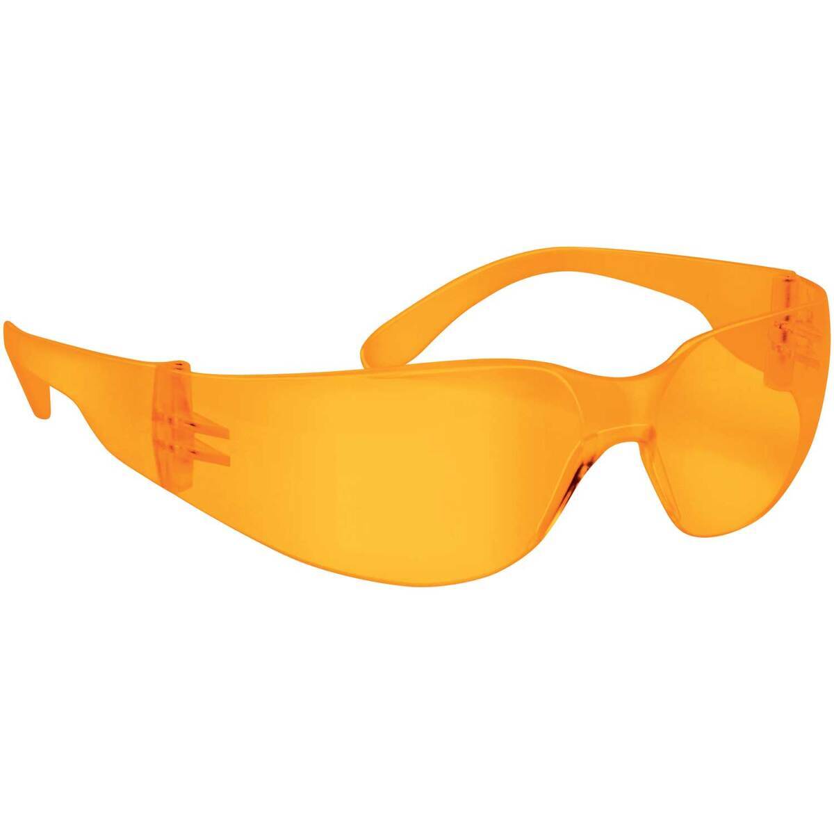 XGuard Lead Glasses